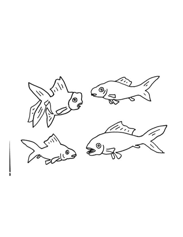 Goldfish